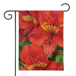 Red Alstroemeria Print House Flag