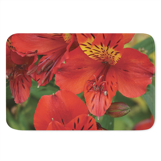 Red Alstroemeria Print Indoor Door Mat