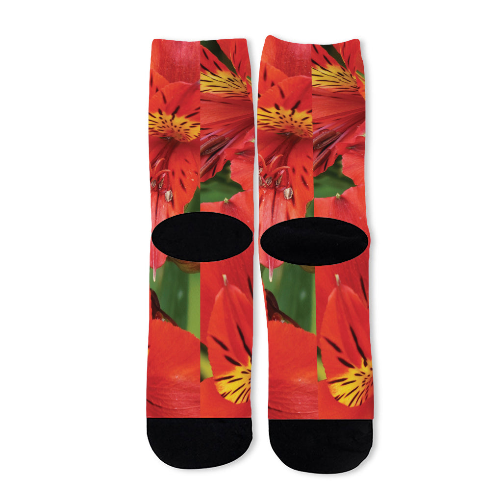 Red Alstroemeria Print Long Socks