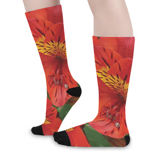 Red Alstroemeria Print Long Socks