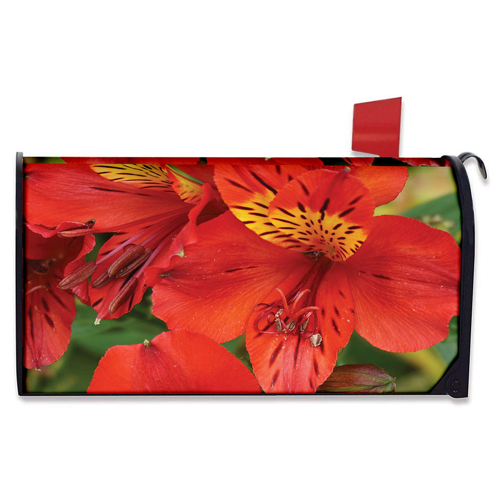Red Alstroemeria Print Mailbox Cover