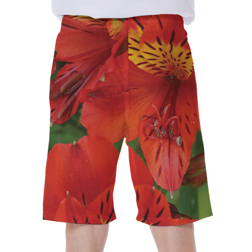 Red Alstroemeria Print Men's Beach Shorts