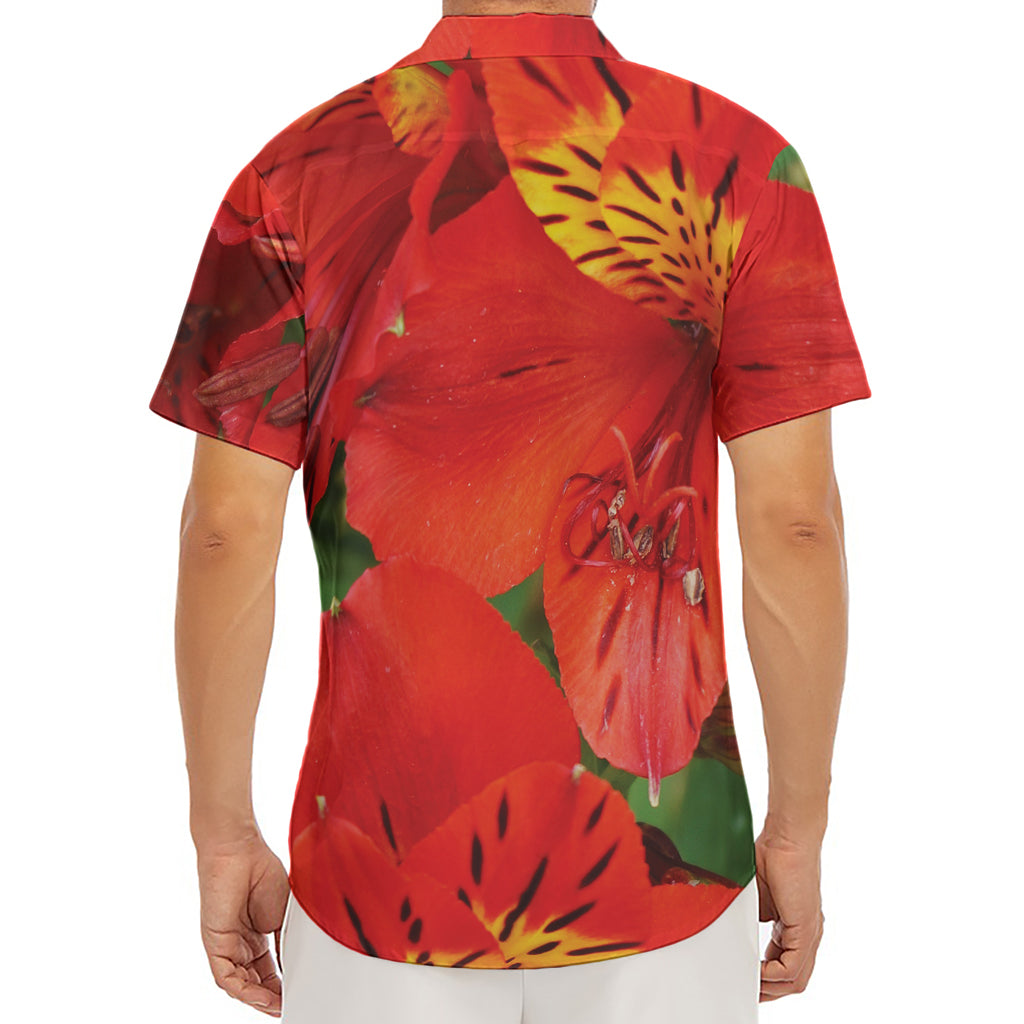 Red Alstroemeria Print Men's Deep V-Neck Shirt