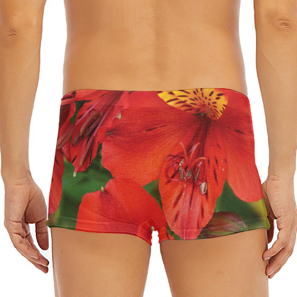 Red Alstroemeria Print Men's Short Boxer Briefs