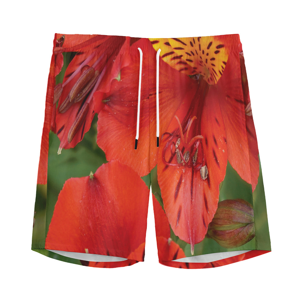 Red Alstroemeria Print Men's Sports Shorts