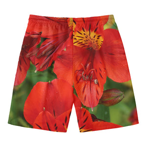 Red Alstroemeria Print Men's Swim Trunks