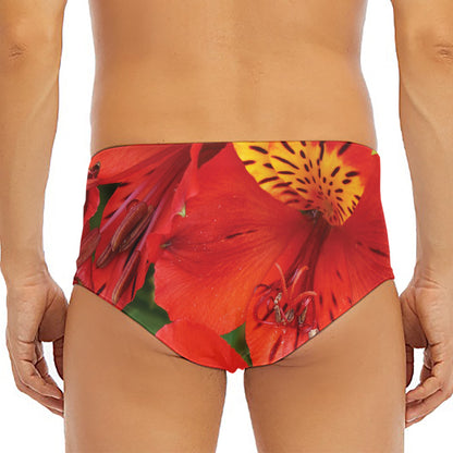 Red Alstroemeria Print Men's Triangle Swim Briefs