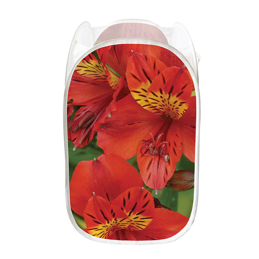 Red Alstroemeria Print Mesh Laundry Hamper