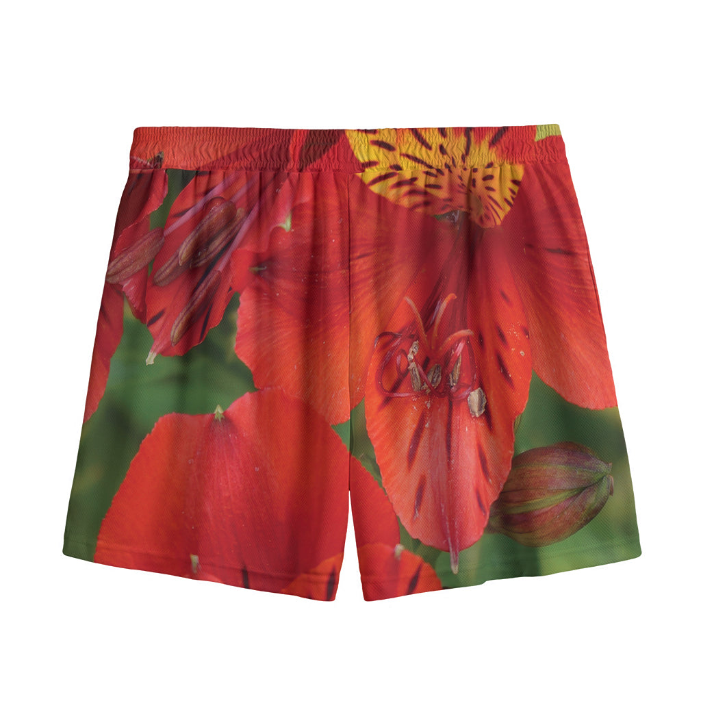 Red Alstroemeria Print Mesh Shorts