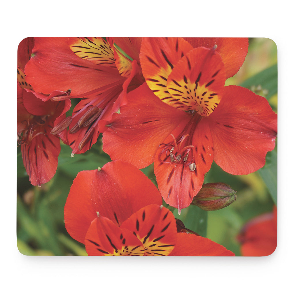 Red Alstroemeria Print Mouse Pad