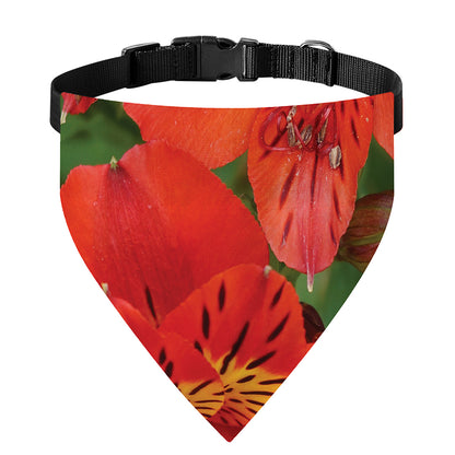 Red Alstroemeria Print Over The Collar Dog Bandana