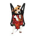 Red Alstroemeria Print Pet Carrier Backpack