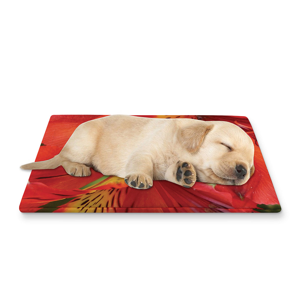 Red Alstroemeria Print Pet Cooling Mat Cover