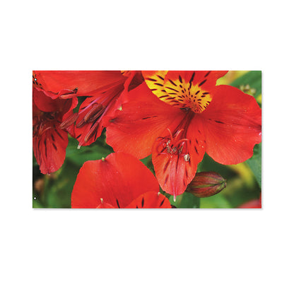 Red Alstroemeria Print Polyester Flag