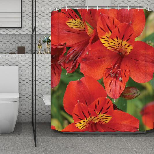 Red Alstroemeria Print Polyester Shower Curtain