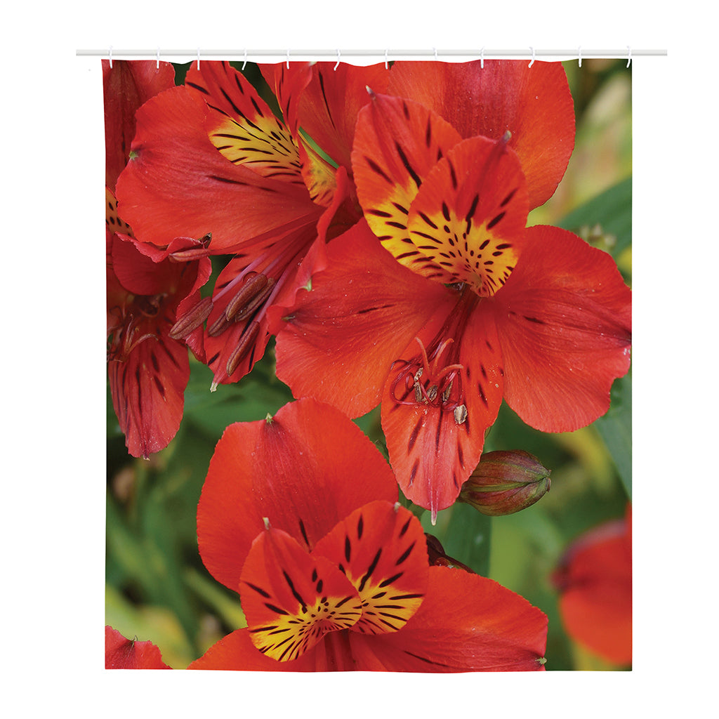 Red Alstroemeria Print Polyester Shower Curtain