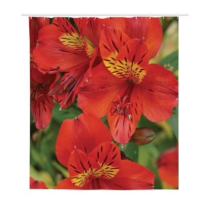 Red Alstroemeria Print Polyester Shower Curtain