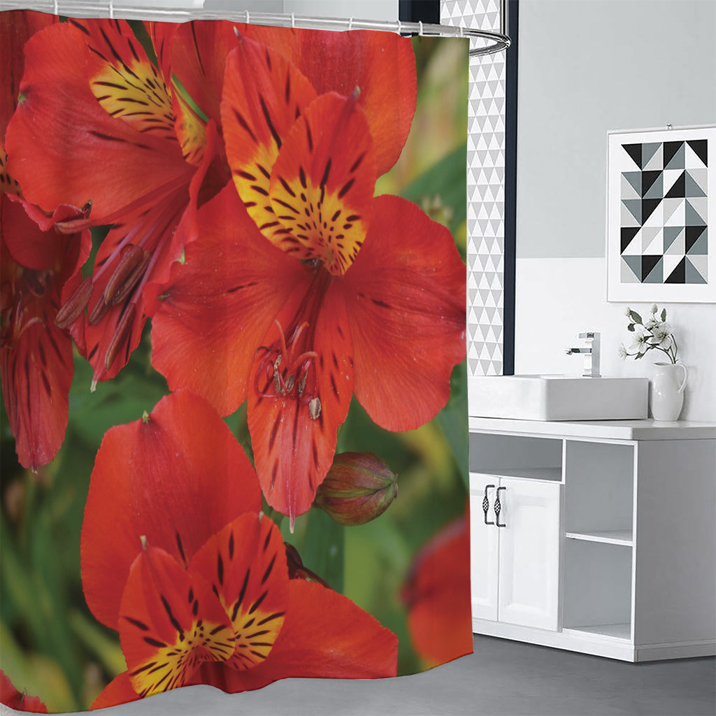 Red Alstroemeria Print Premium Shower Curtain