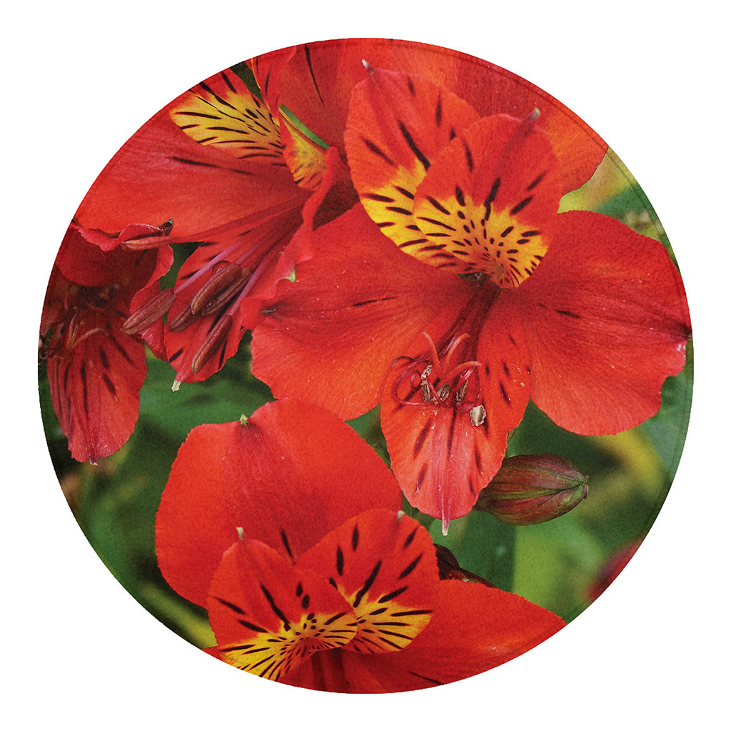 Red Alstroemeria Print Round Blanket