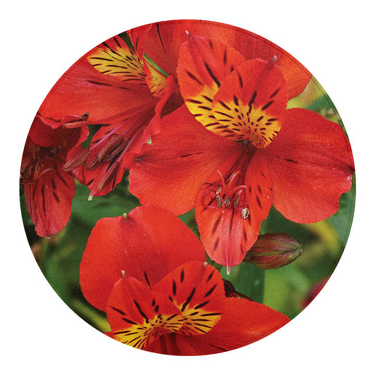 Red Alstroemeria Print Round Blanket