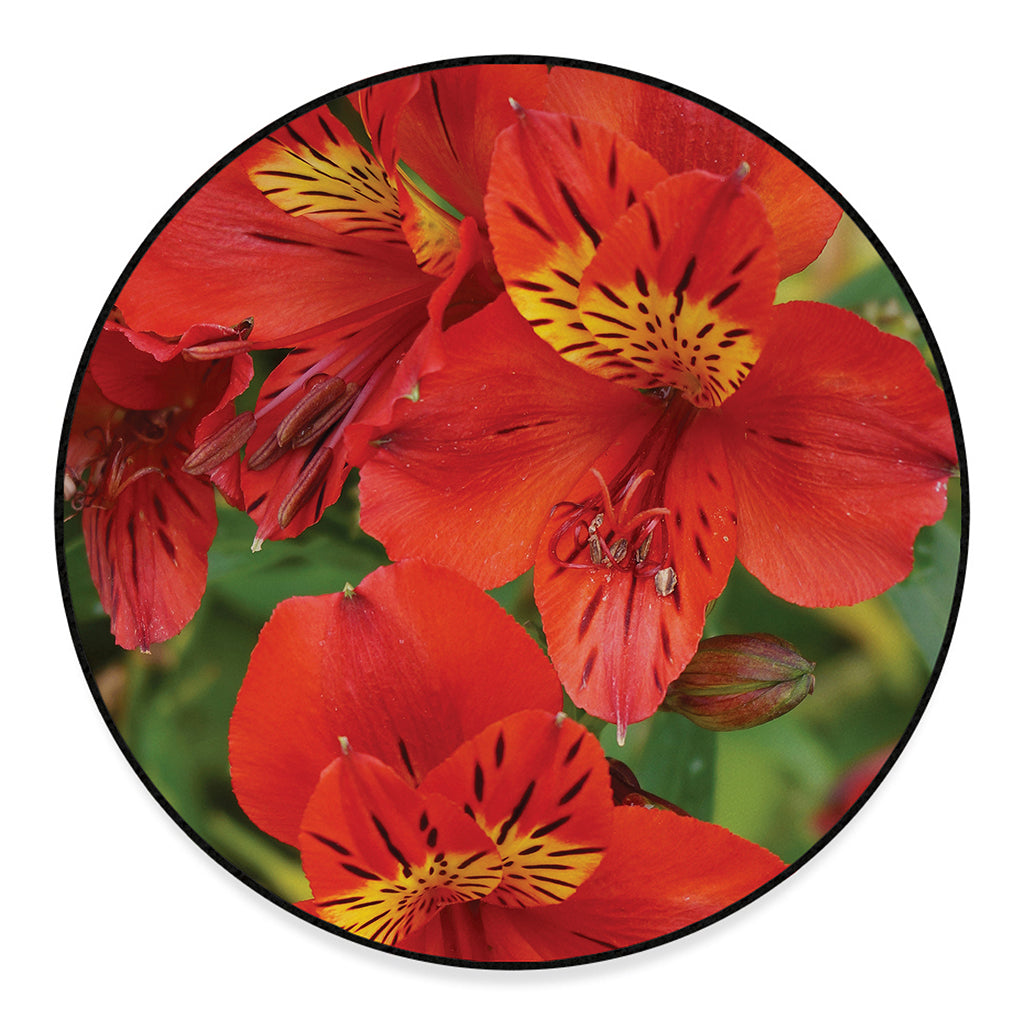 Red Alstroemeria Print Round Floor Mat
