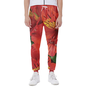 Red Alstroemeria Print Scuba Joggers