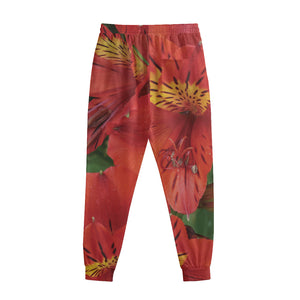 Red Alstroemeria Print Sweatpants