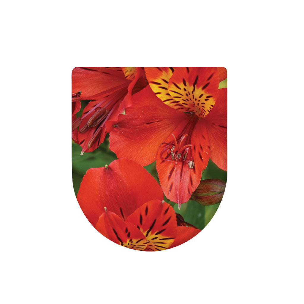 Red Alstroemeria Print Toilet Lid Cover