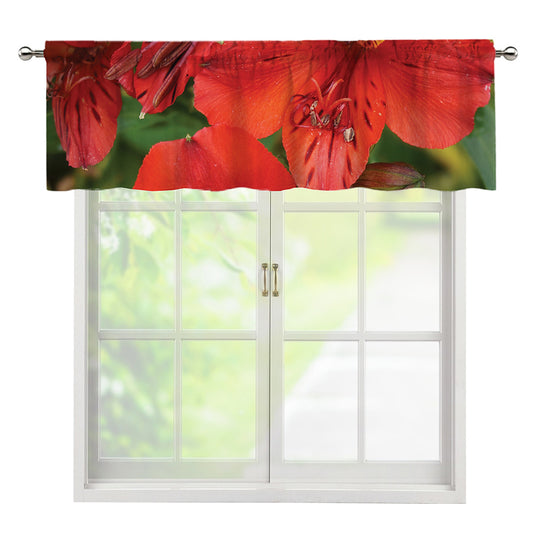 Red Alstroemeria Print Window Valance
