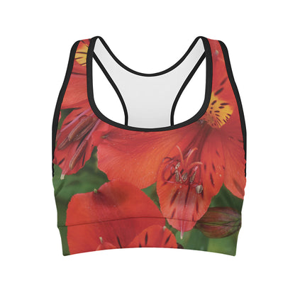 Red Alstroemeria Print Women's Sports Bra
