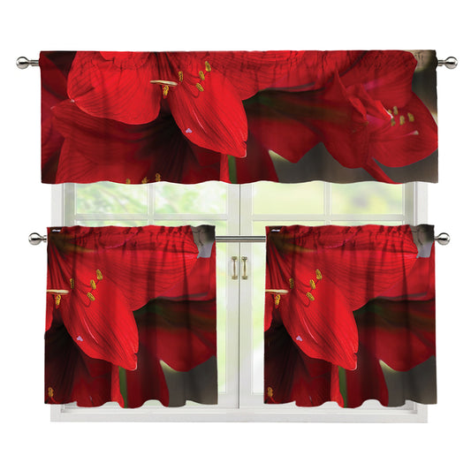 Red Amaryllis Print 3 Piece Kitchen Curtains