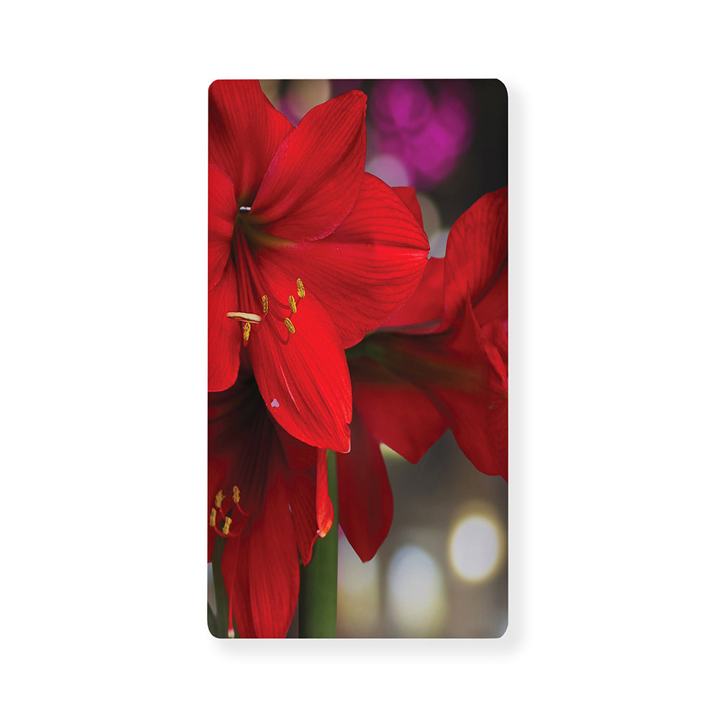 Red Amaryllis Print Baby Crib Sheet