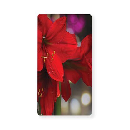 Red Amaryllis Print Baby Crib Sheet