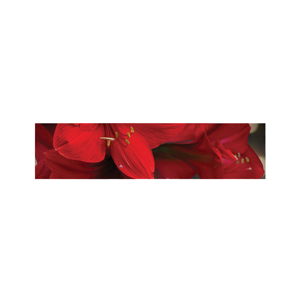 Red Amaryllis Print Bed Runner