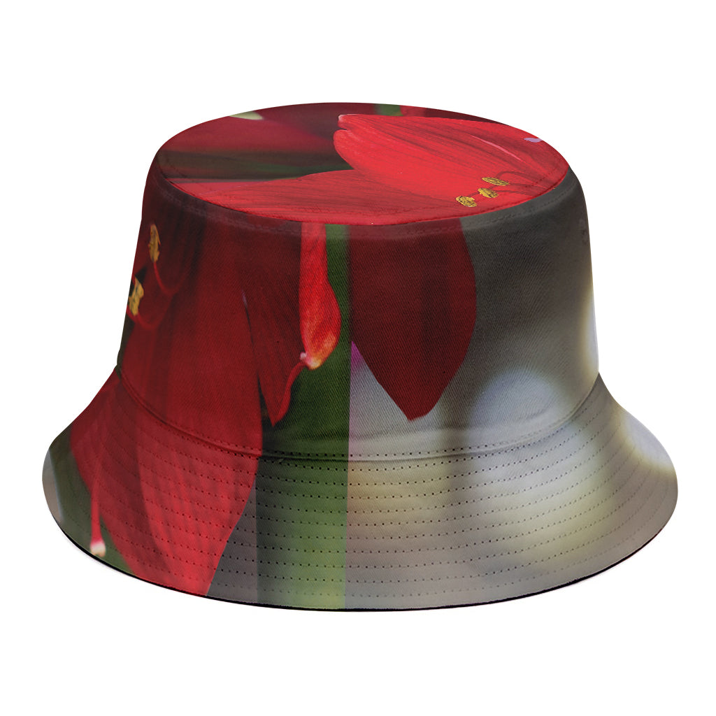 Red Amaryllis Print Bucket Hat