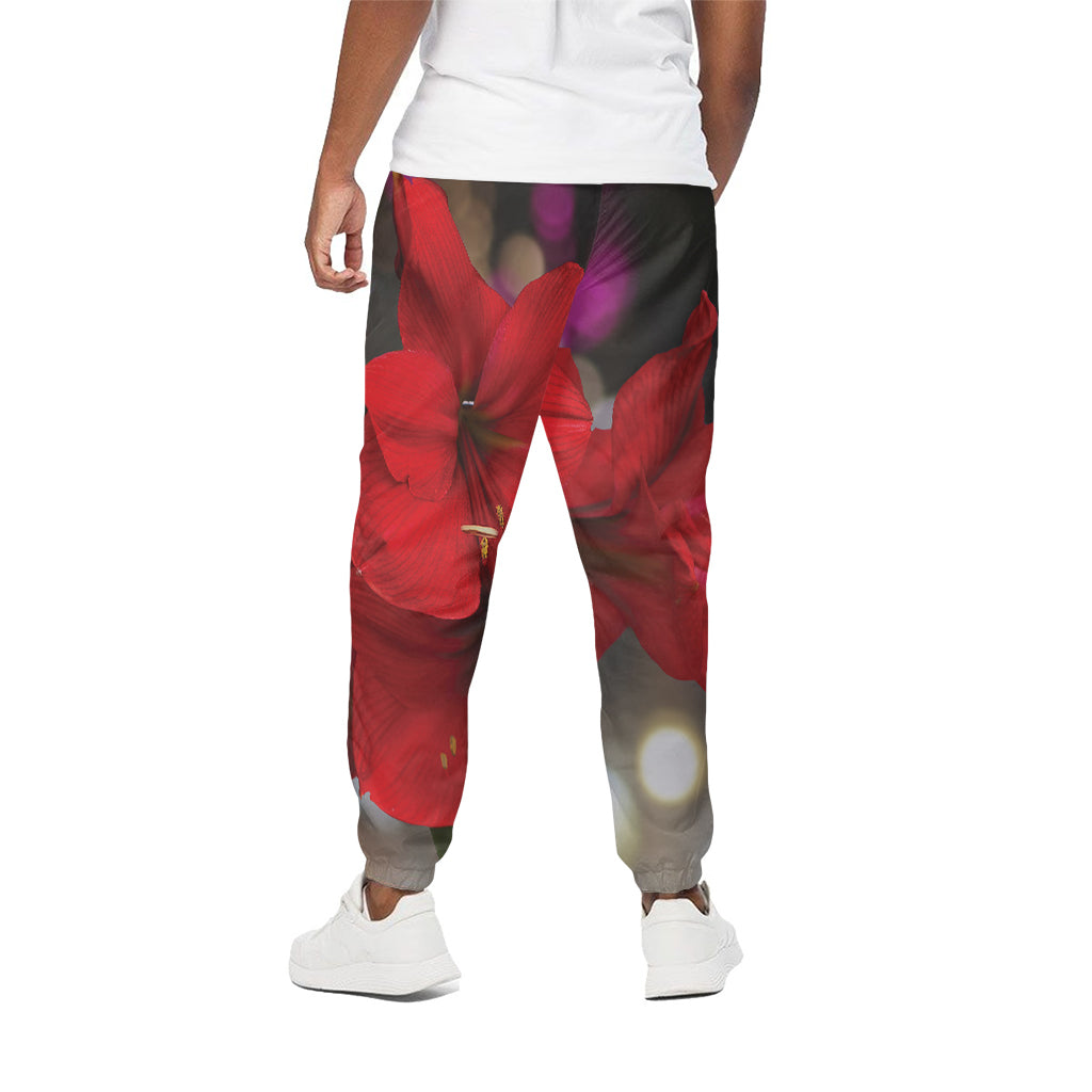 Red Amaryllis Print Cotton Pants