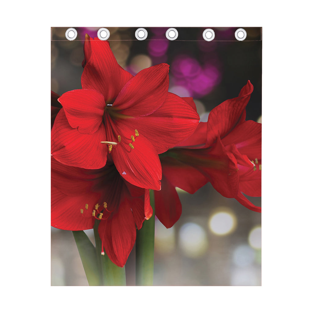 Red Amaryllis Print Curtain
