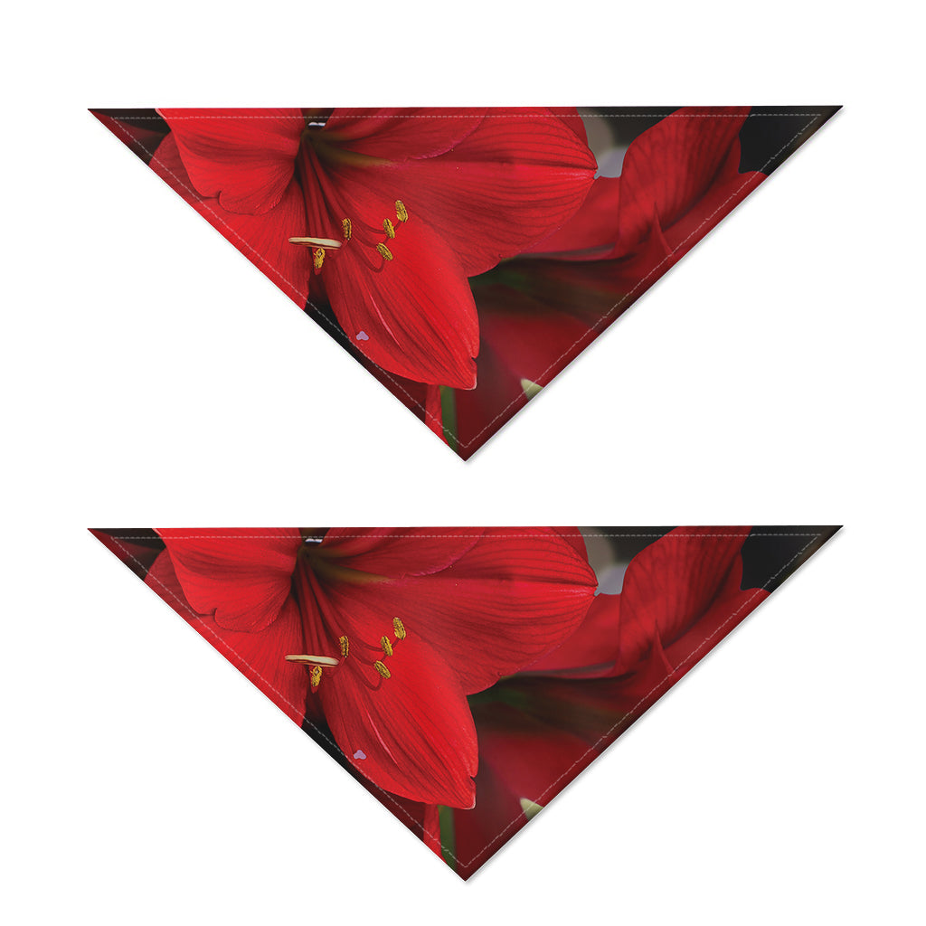 Red Amaryllis Print Dog Bandana