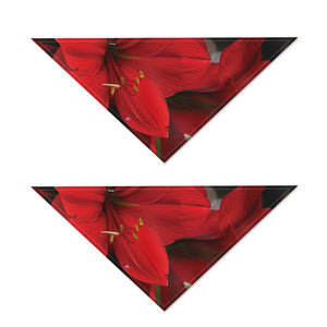 Red Amaryllis Print Dog Bandana