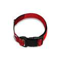 Red Amaryllis Print Dog Collar