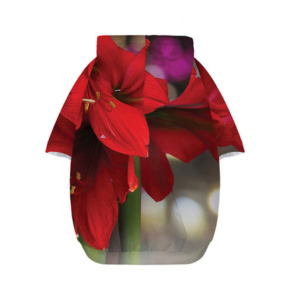 Red Amaryllis Print Dog Zip Up Hoodie