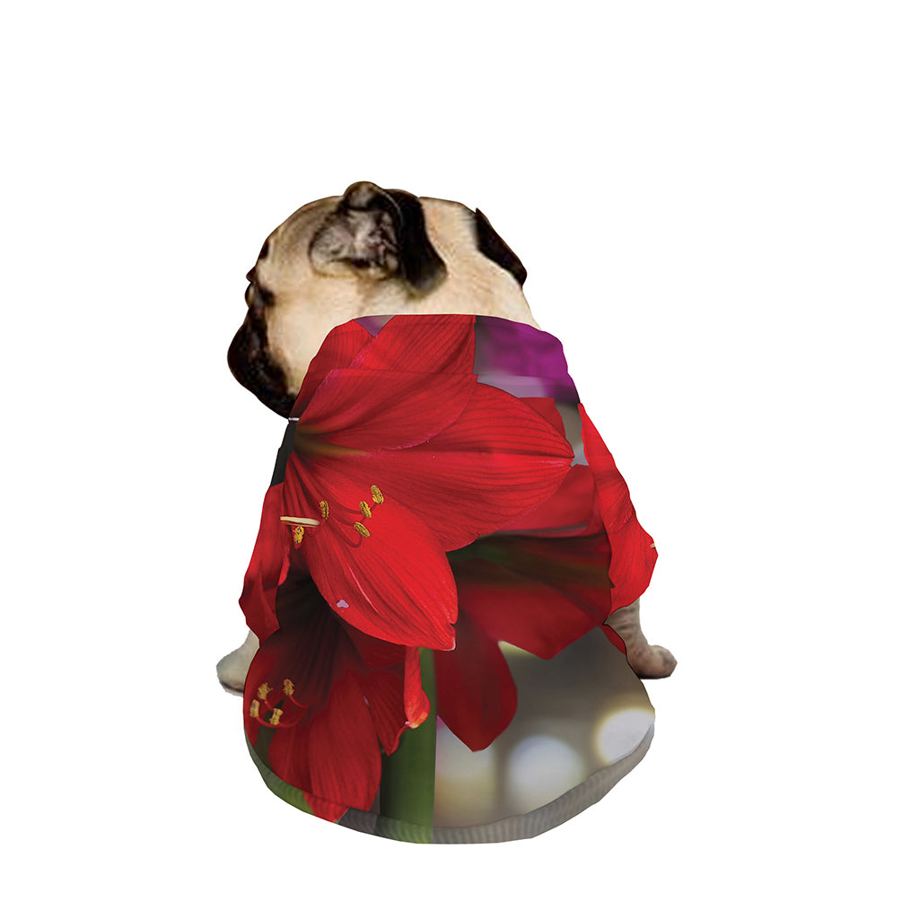 Red Amaryllis Print Dog Zip Up Jacket