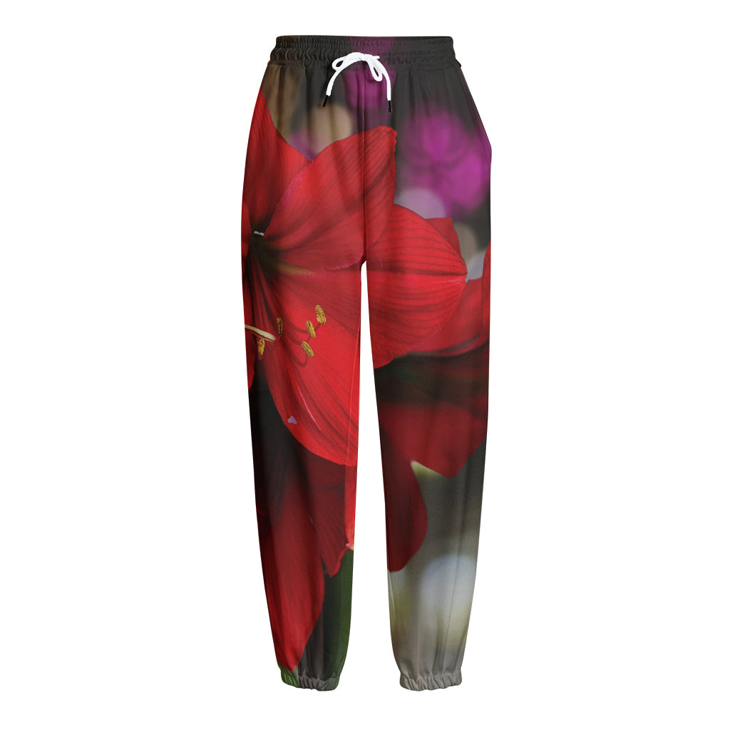 Red Amaryllis Print Fleece Lined Knit Pants