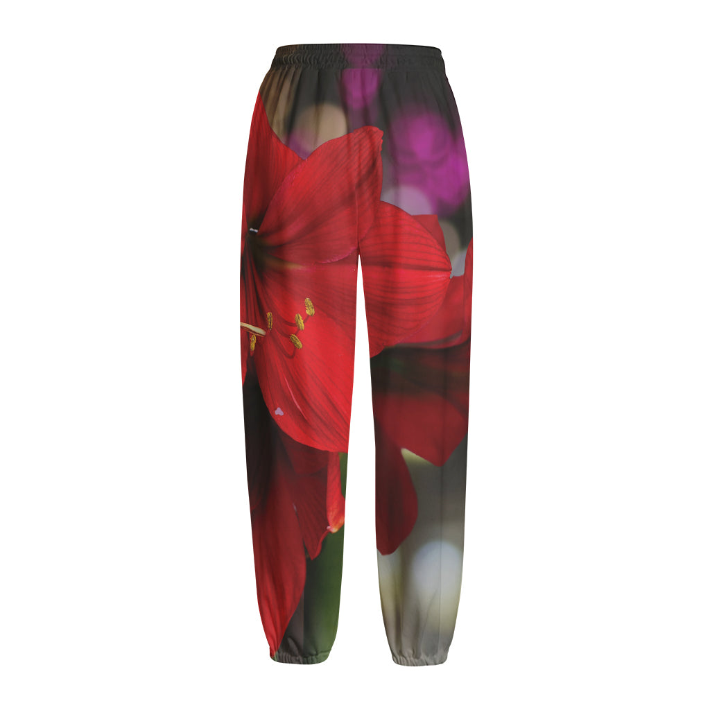 Red Amaryllis Print Fleece Lined Knit Pants