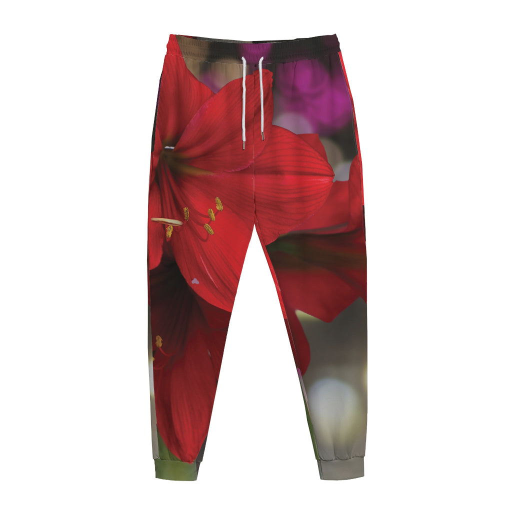 Red Amaryllis Print Jogger Pants