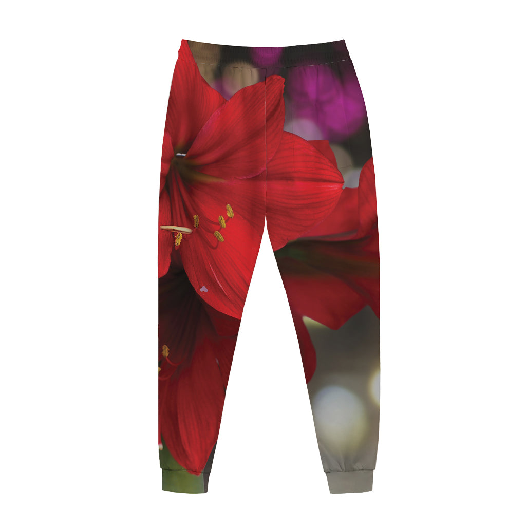 Red Amaryllis Print Jogger Pants
