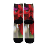 Red Amaryllis Print Long Socks