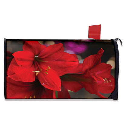 Red Amaryllis Print Mailbox Cover