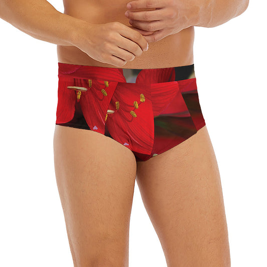 Red Amaryllis Print Men's Briefs