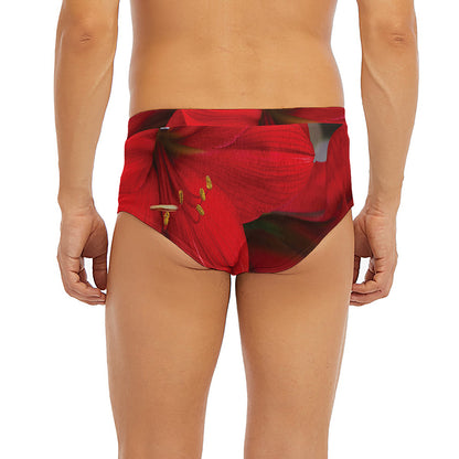 Red Amaryllis Print Men's Briefs
